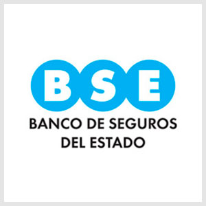 Logo Banco de Seguros del Estado