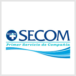 Logo SECOM