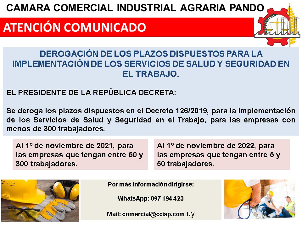 comunicación decreto derogación plazos servicios